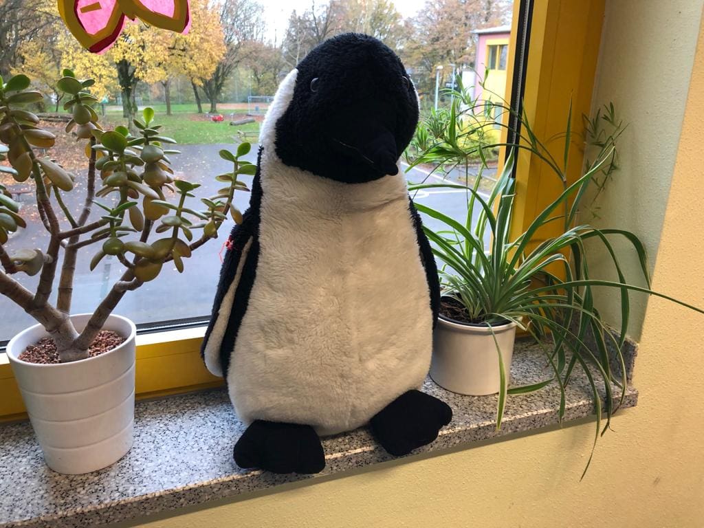 4b Pinguinklasse 1 Pinguin 2