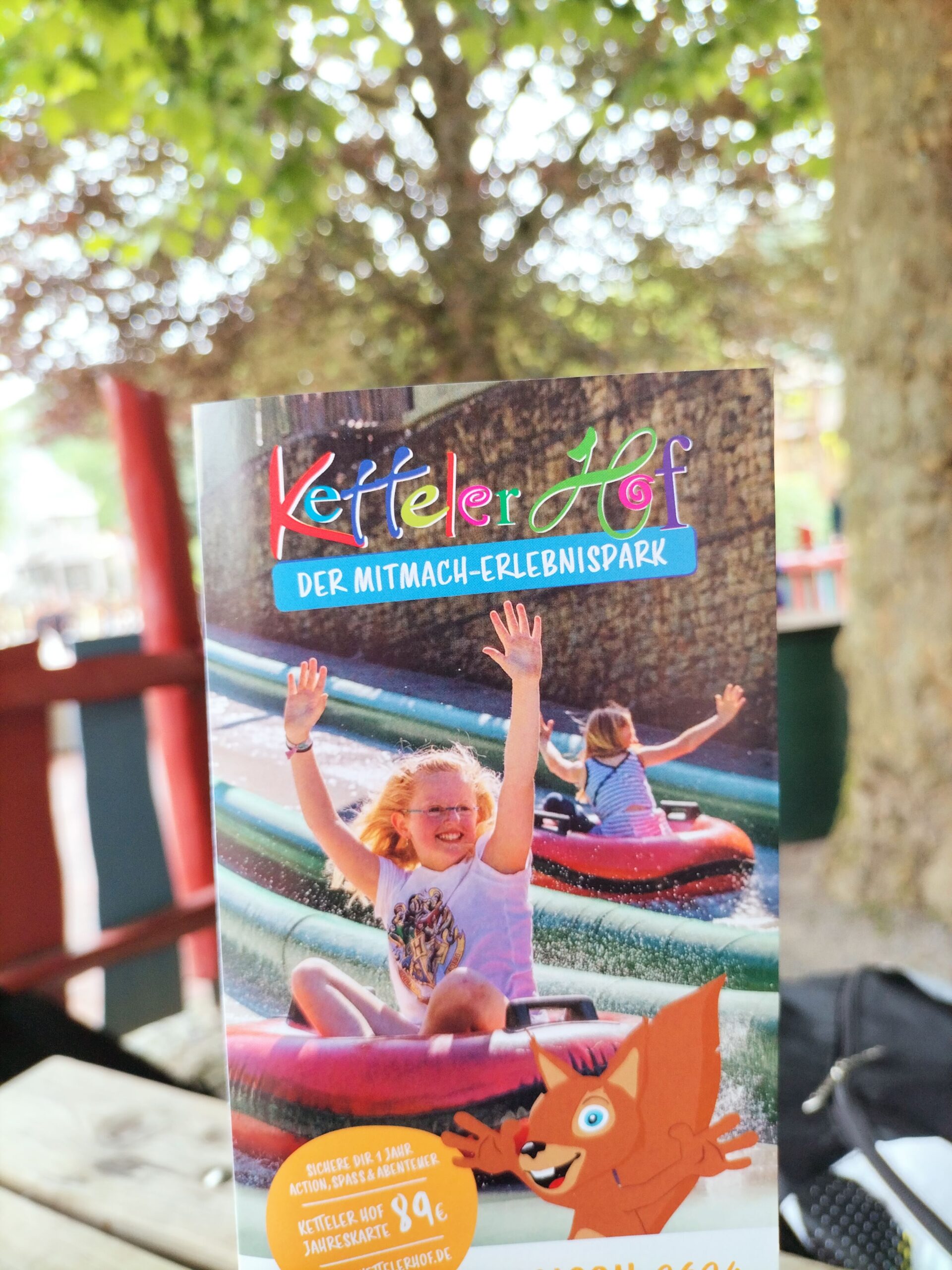 IMG20240604112318 scaled