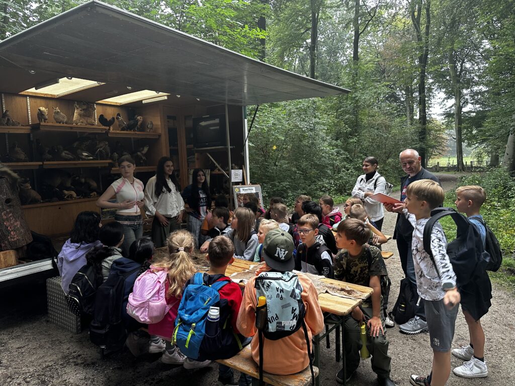4b Pinguinklasse 13 Waldjugendspiele2