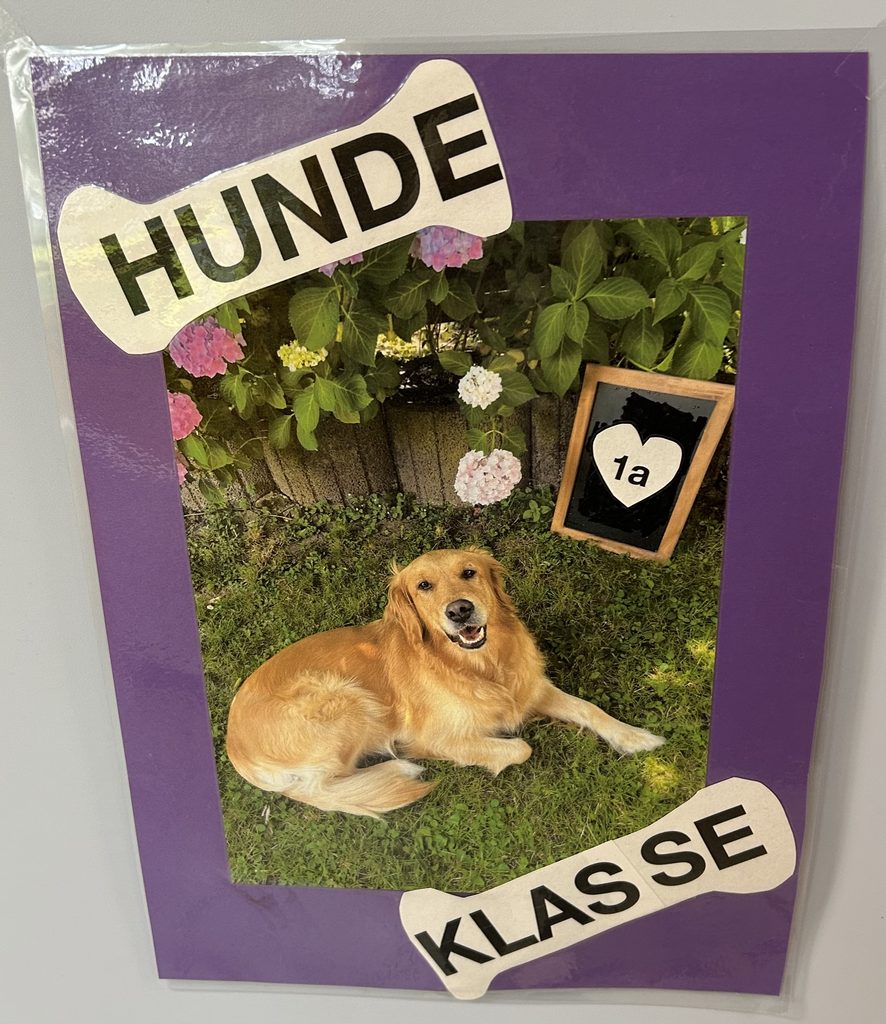 hund 1